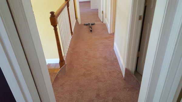 New Carpet Installation