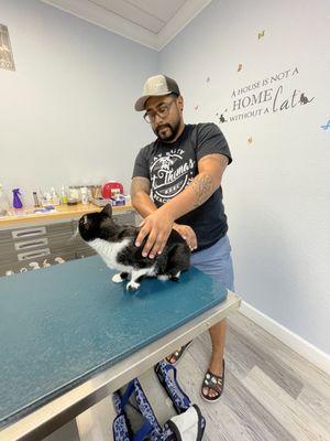 Gulf Coast Scratching Post Cat Hospital