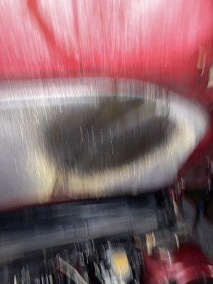 Picture of inside of hood. Look at that oil.