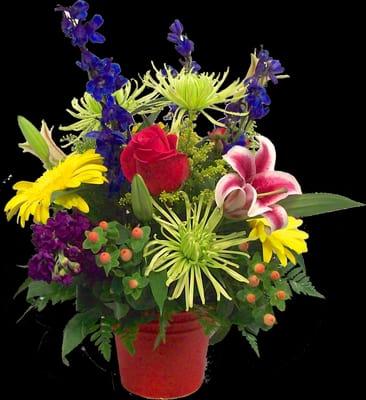 A bright and bold arrangement perfect for celebrating your special occasion.