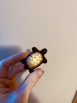 Cutest chocolate turtle ever!