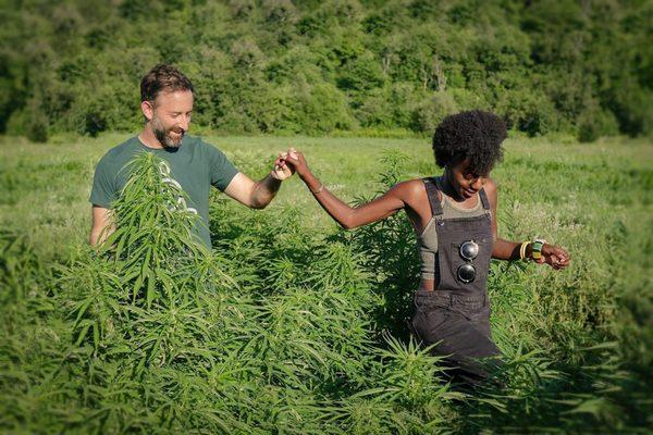 Owners Noah and Marlena in their hemp field.