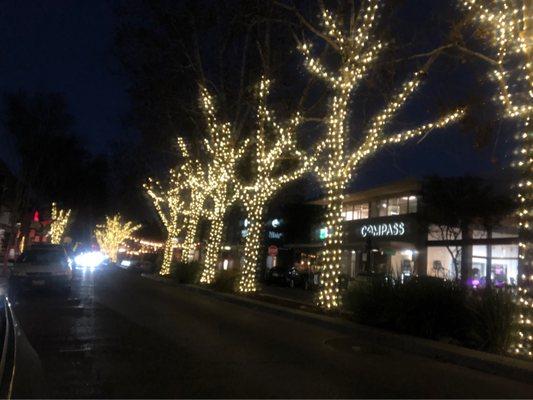 Outside view down the tree lit street, from Menlo Park Ace Hardware.