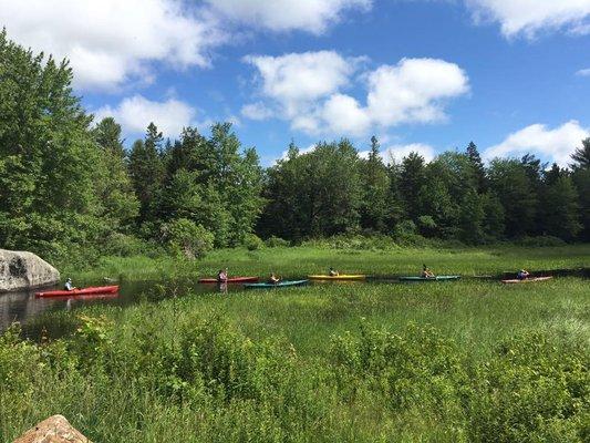 The Activity Shop has made it easy to explore the beautiful waterways of the Blue Hill peninsula and Deer Isle for over 20 years.