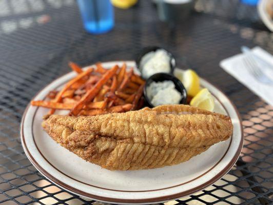 Fresh caught walleye