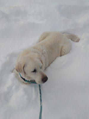 Simon in the fresh snow.