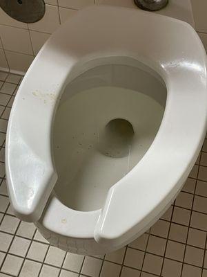 Bodily fluids on toilet seat