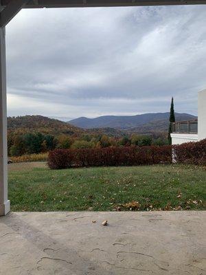 Patio view