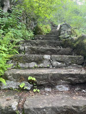 Trail (many steps, some trails are more accessible)