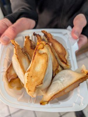 Fried Dumpling Jie Jie Sheng 老山東鍋貼