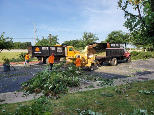 Jose's Tree Service