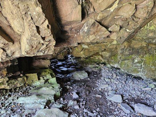 Suzy's cave interior