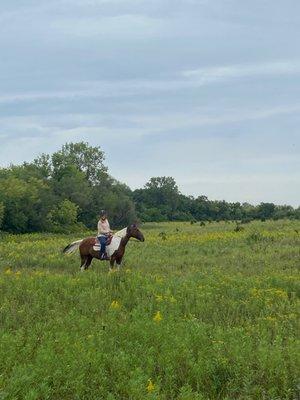 Horse back riding