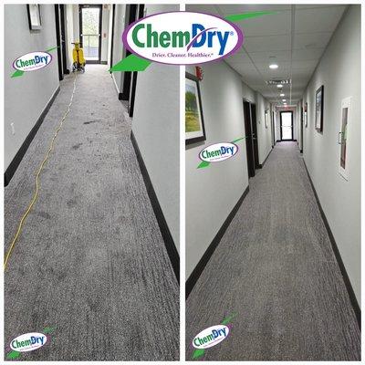 Our commercial clients appreciate the night & day difference after their favorite ChemDry comes by! Say good riddance to dirty carpets!