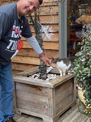 Friendly free roaming cats always love my husband.