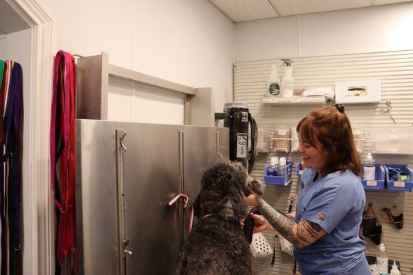 Every fur-baby gets loved on when they come to Pet Wow!