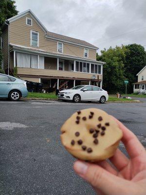 Sat on the curb with my coffee and donut, and the new plant I bought that we lovingly named David Foster Wallace. ;-)