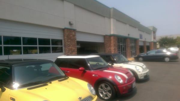 Mini Cooper Experts!