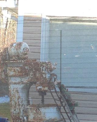 Rusted "decor" out front - goes with the rotting window sills and filthy walls and baseboards inside.