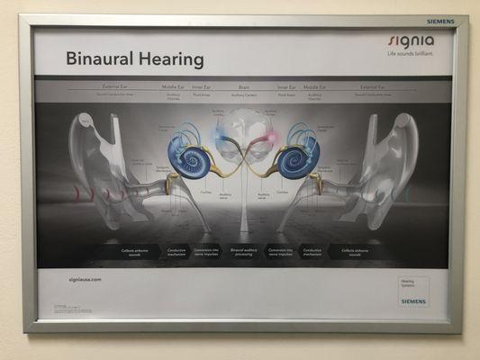 Binaural Hearing