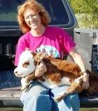 Nancy Falster w/ Mini Hereford Show Calf