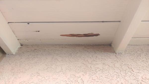 Dry wood termite damage