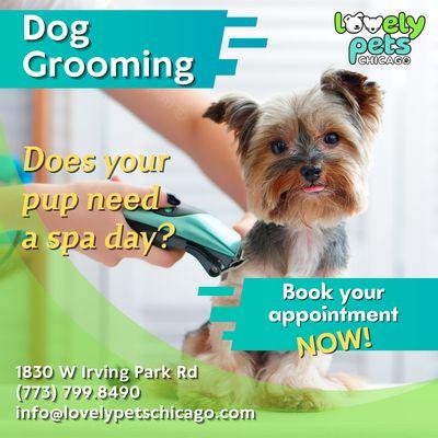 It's fast and easy to book a grooming appointment with us  Just call us at 773.7998490 or email info@lovelypetschicago.com