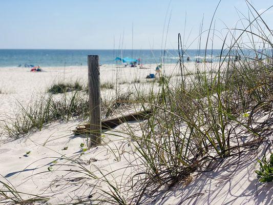 "Dunes by day"