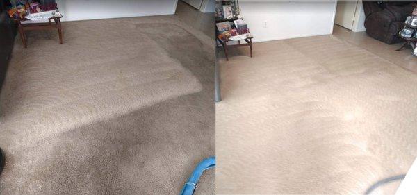 Carpet cleaning restoration in Sugarland