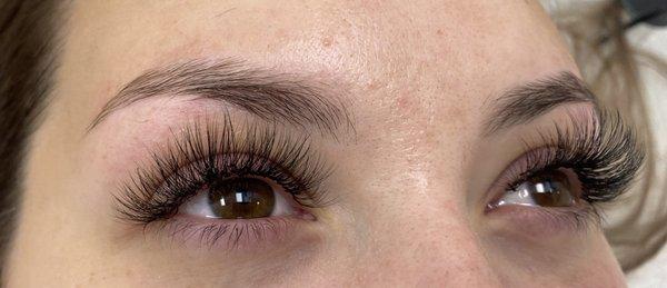 Volume Lash Extension