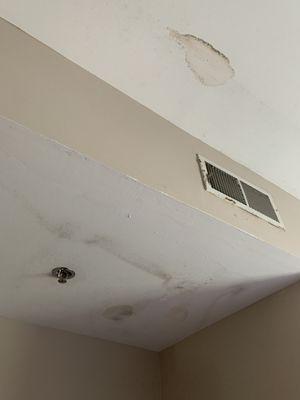 Mold on the ceiling and walls