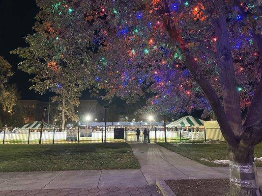 Ice rink in the park- opening night