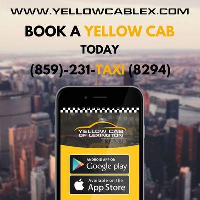 Yellow Cab Lexington