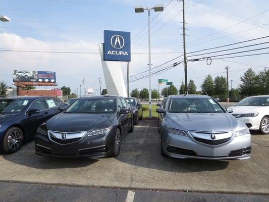 2015 Acura TLX vehicles.