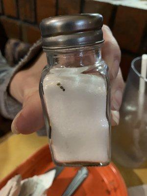 A dead ant in the salt shaker