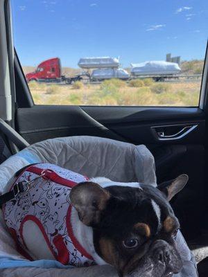 Katanas first road trip to Roswell, New Mexico