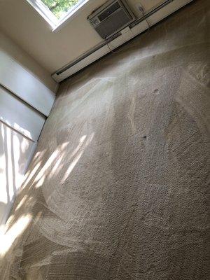 Carpet Cleaning One Bedroom Apartment