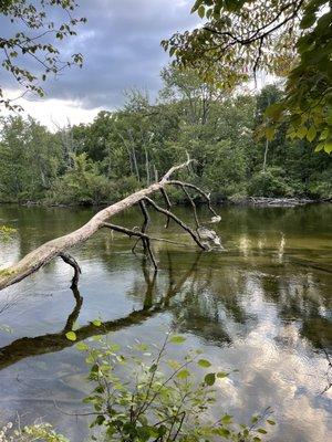 Hudson Mills Metropark