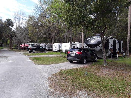 One of the rows of RV's www.citraroyalpalmrvpark.com