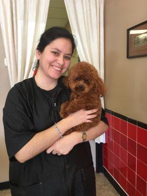 We love Allure pet salon! He comes out so fluffy, soft AND unmatted! Ask for Janny! Amanda is the manager, she is extra sweet too!