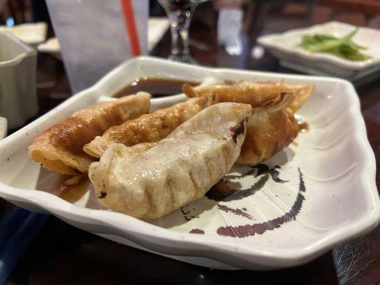 Gyoza