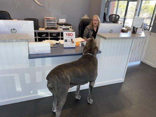 Bruno checking in to his appointment