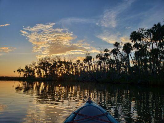 Nature Coast Eco Tours