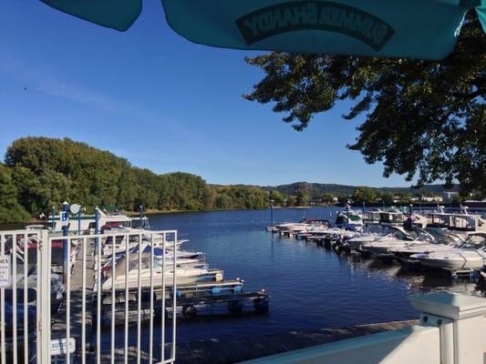 View from dining patio