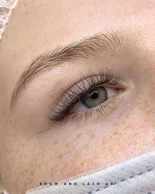 eyelash extension 2d