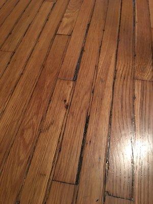 wood floor refinishing