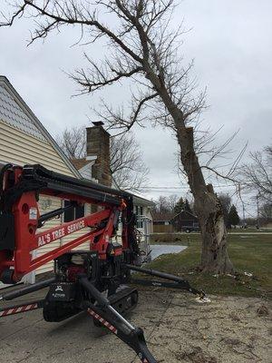 Track lift technology about to remove this dead tree in Grand Island, NY