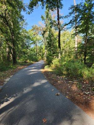 Gorgeous trails