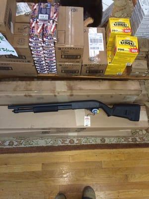 Went it looking for a Remington 870 tactical and they had one with a magpul stock. Great service by greats guys