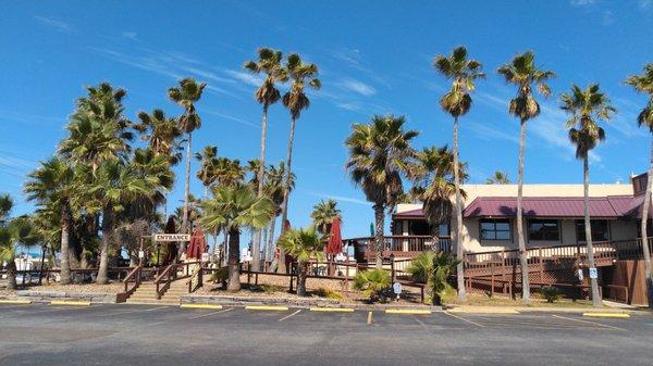 This is the view and entrance from the parking lot.  If on Padre Blvd., look for the clusters of palm trees.